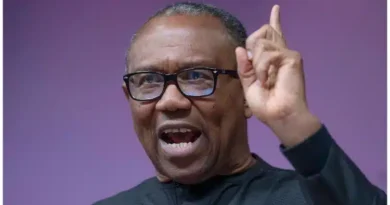 Nigeria needs a parliamentary system of government - Peter Obi