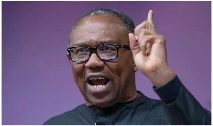 Nigeria needs a parliamentary system of government - Peter Obi