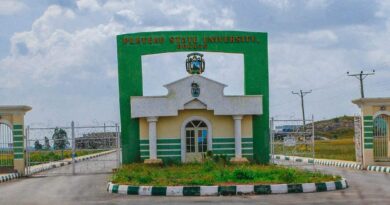 University student and 14 others killed in a recent Plateau attack.